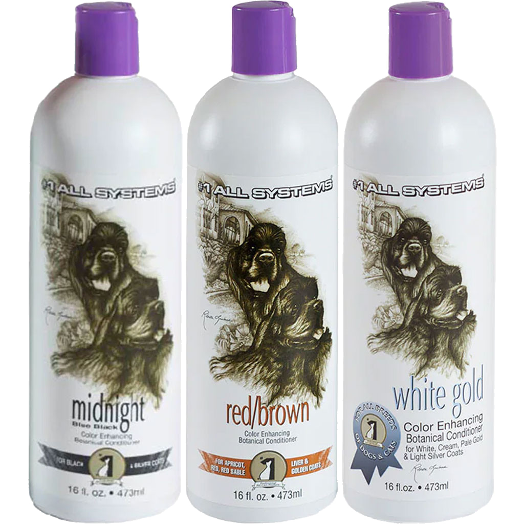 #1 All Systems Color Enhancing Botanical Conditioner balsam
