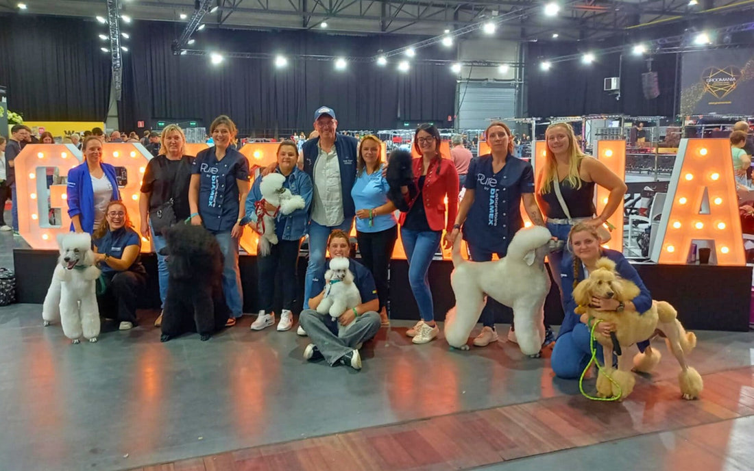 Groomania 2025: Un weekend memorabil pentru Laboratoire Diamex